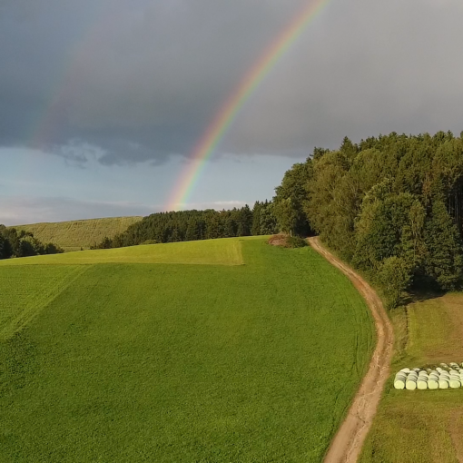 Regenbogen
