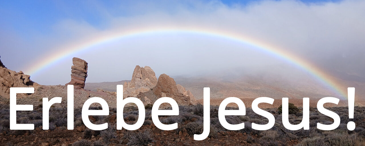 Zurück zur Startseite